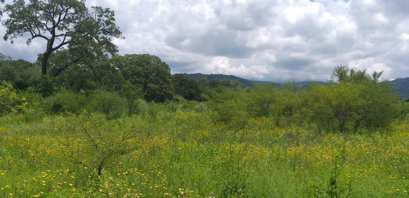 Terrenos en Venta - La Caldera - Salta - 4 Ha 1