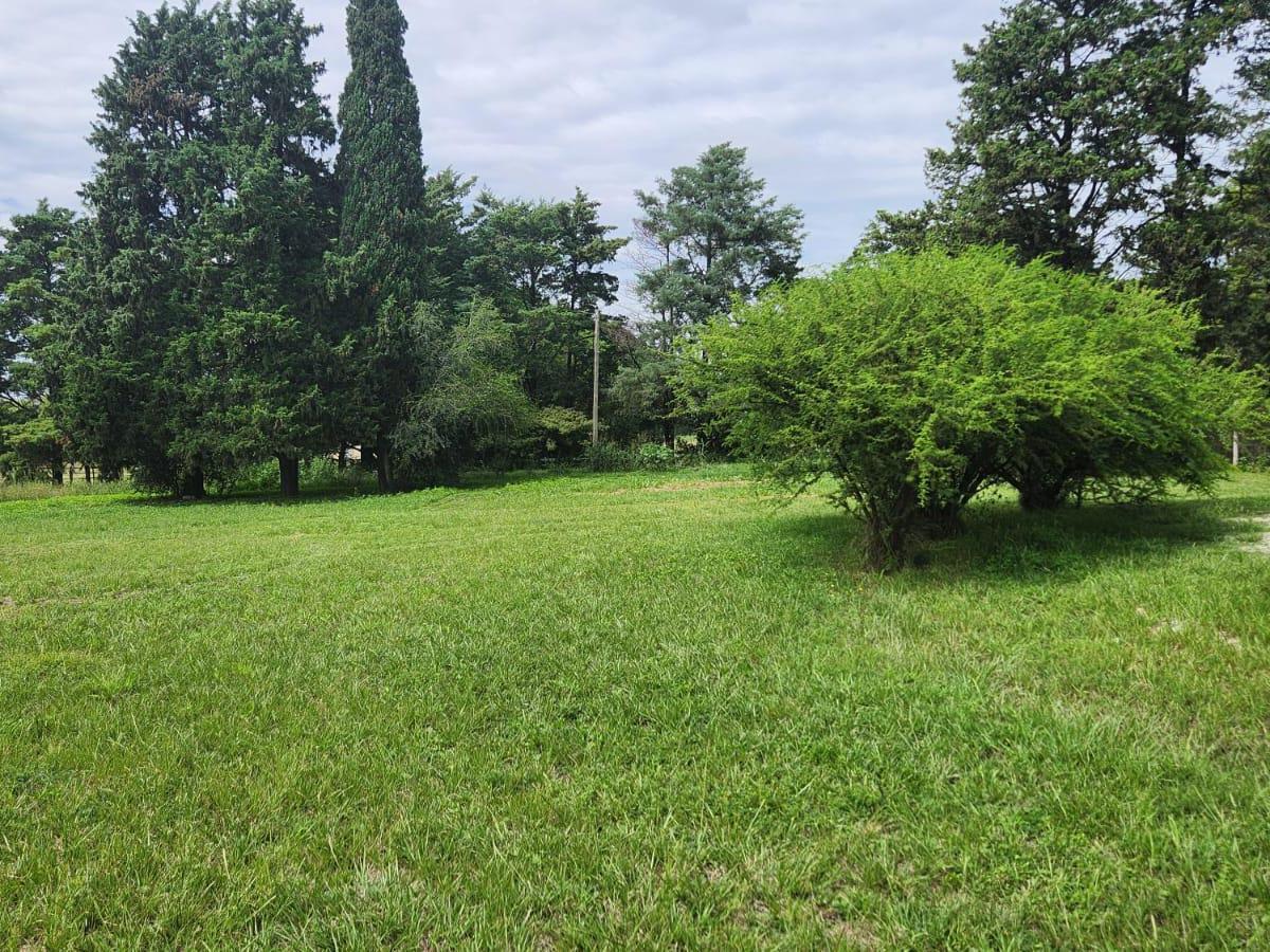 Lote en Serralta - Ruta 5 - Alta Gracia 2