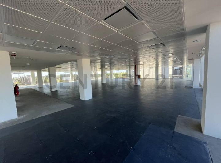 Foto de ALQUILER - OFICINAS - FLORIDA/VILLA MARTELLI - LUMILA III, imagen 5