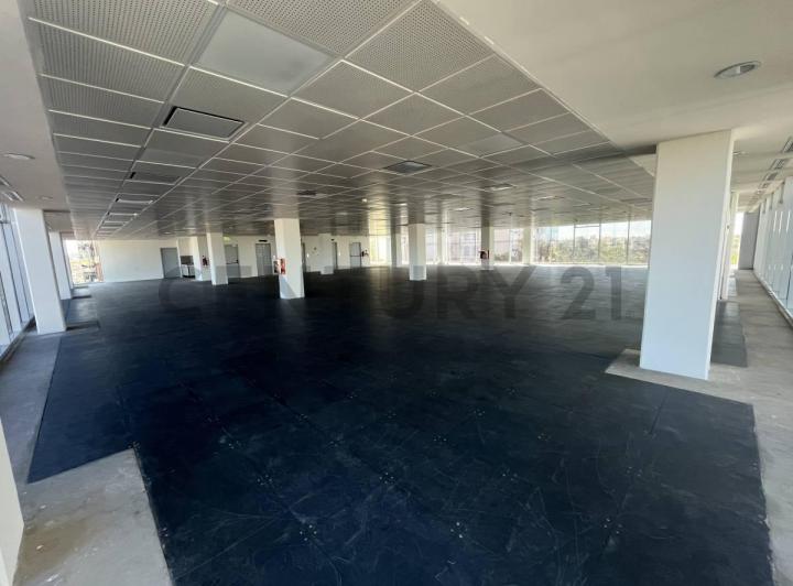Foto de ALQUILER - OFICINAS - FLORIDA/VILLA MARTELLI - LUMILA III, imagen 3