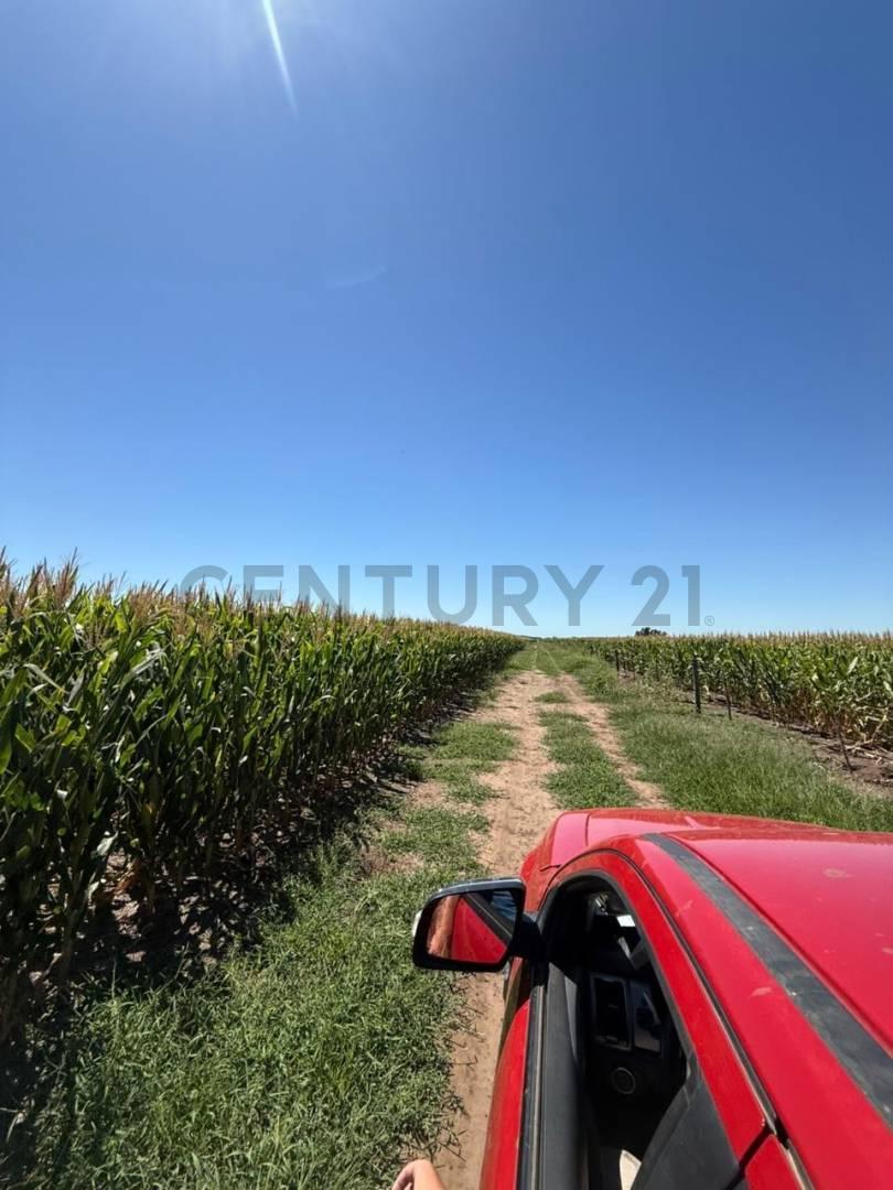 Campo Mixto 1.864 Has en Bragado – Alta Productividad Agrícola y Ganadera