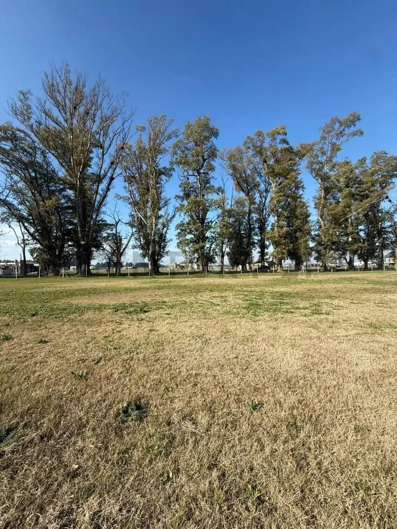 Venta lote de 1000 m2.Barrio GOLF 4