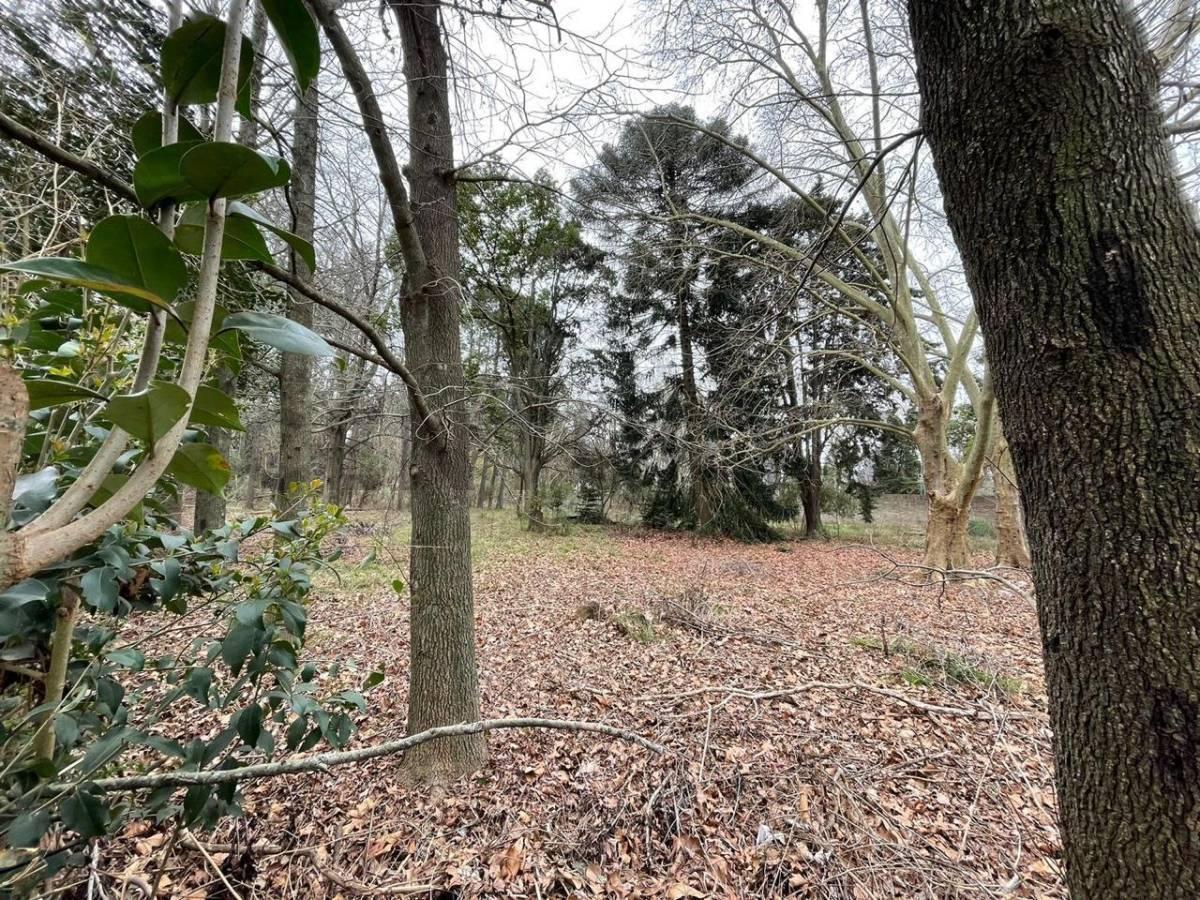 Foto de Venta de Lote en General Rodríguez – Excelente Ubicación, imagen 2
