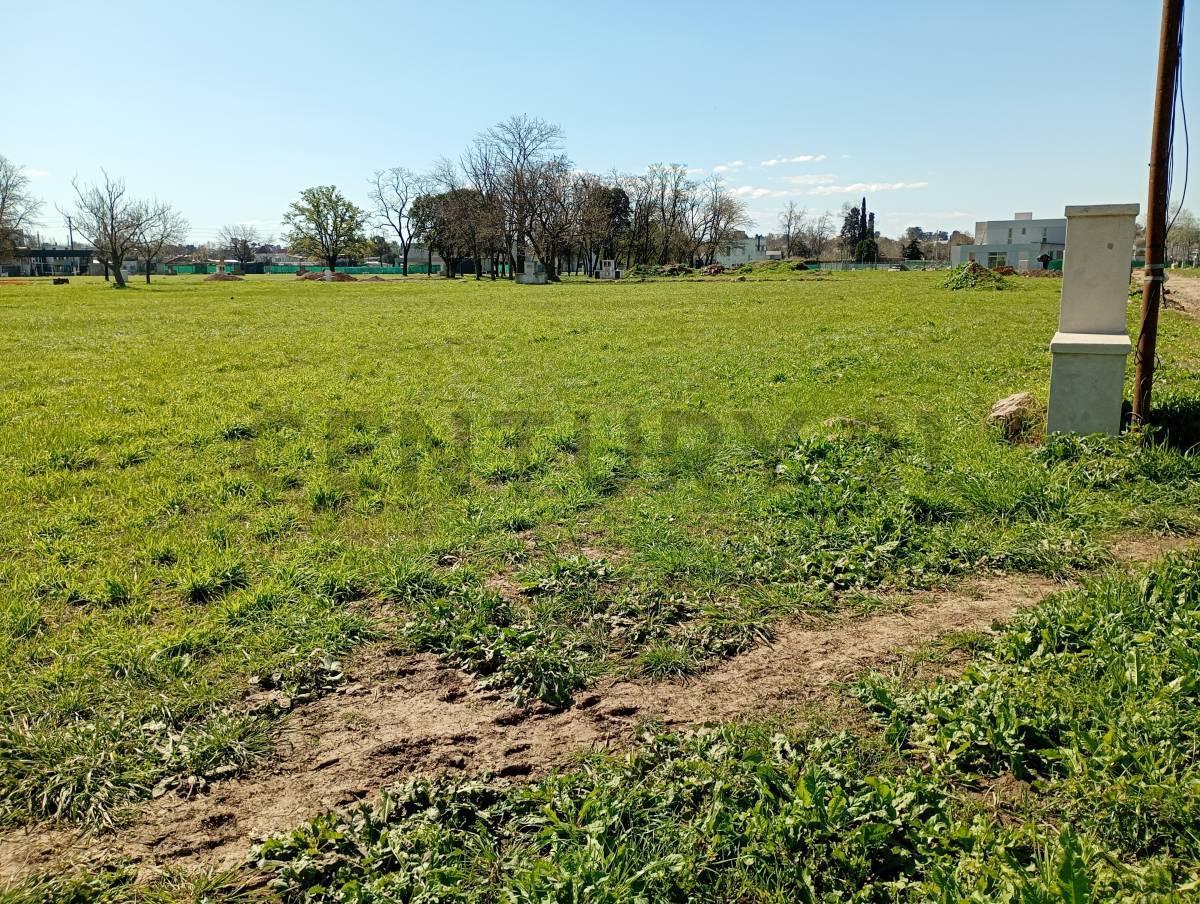 Foto de Venta Lote Altos de San Jose San Miguel, imagen 3