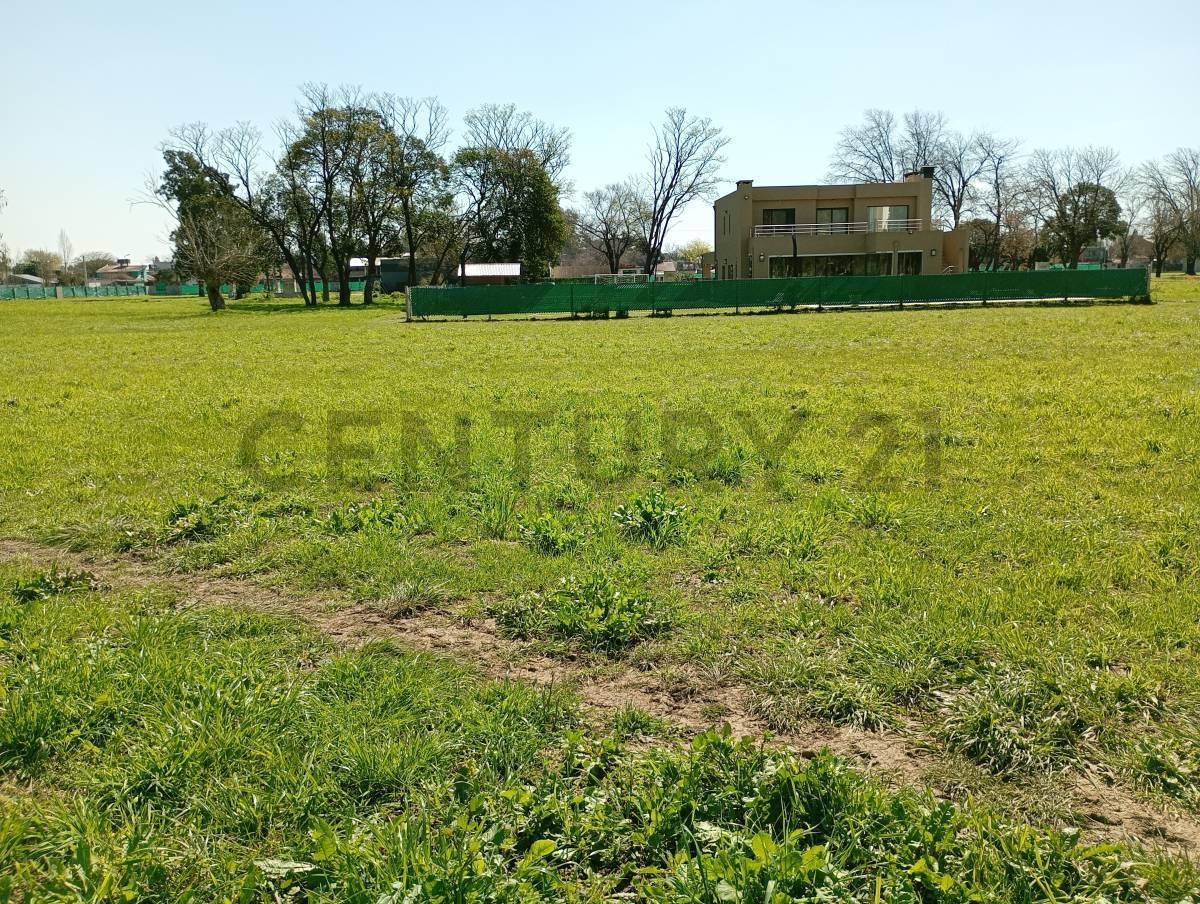 Foto de Venta Lote Altos de San Jose San Miguel, imagen 4