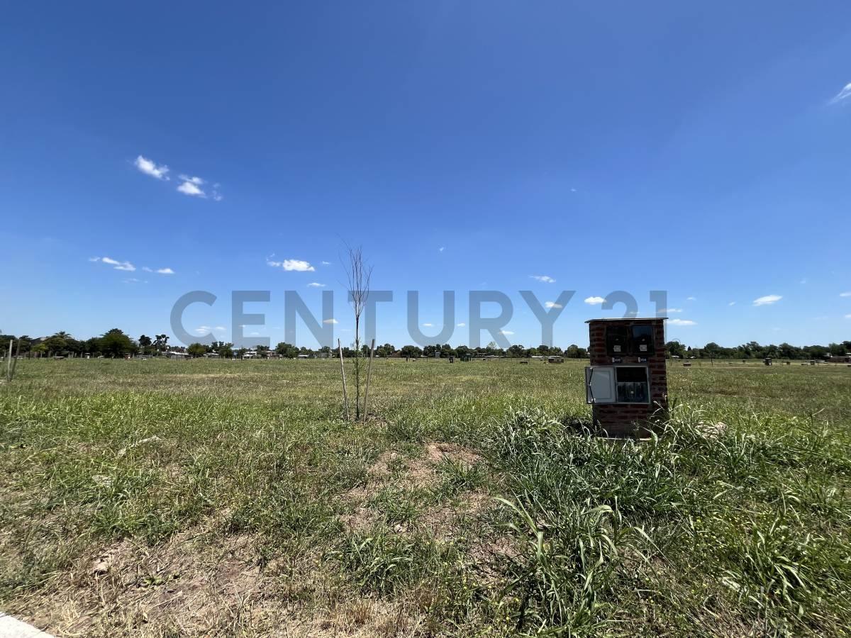 Foto de Lote Central en Venta en San Pablo chico, imagen 4