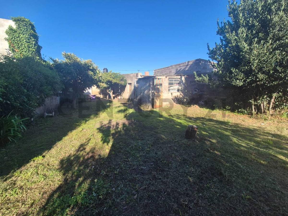 Foto de VENTA CASA 2 AMBIENTES CON AMPLIO PATIO Y GALPÓN EN OLAVARRÍA, imagen 4