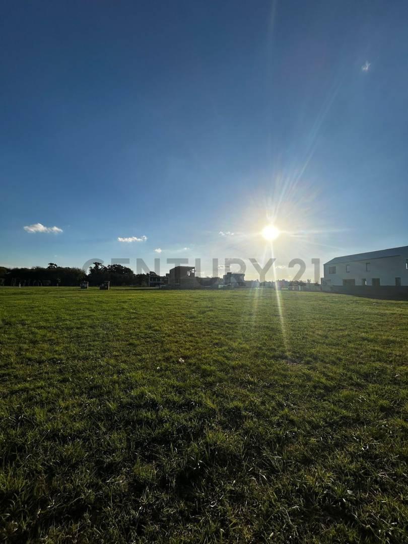 Foto de Terreno/Lote en Venta en Village Plaza, Bella Vista - INTERNO 242, imagen 5