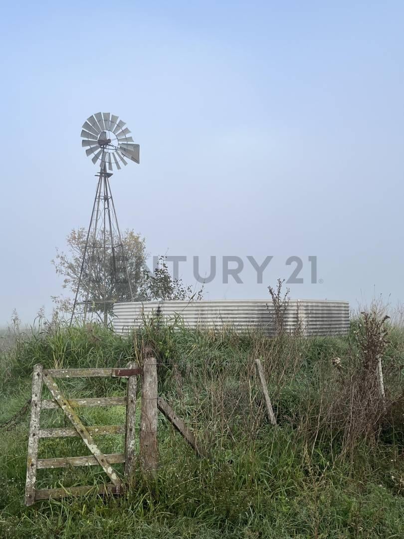 Foto de Propiedad 334770, imagen 3