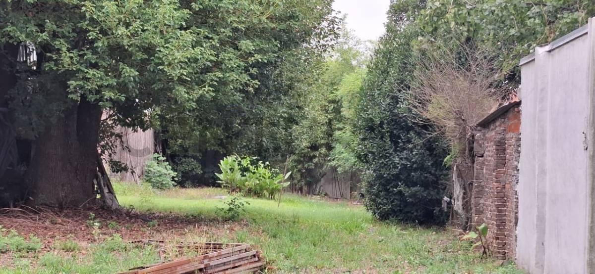 Foto de Lote 480 m² en Boulogne – 550 m² construibles – Ipiranga 552 – Cerca, imagen 5
