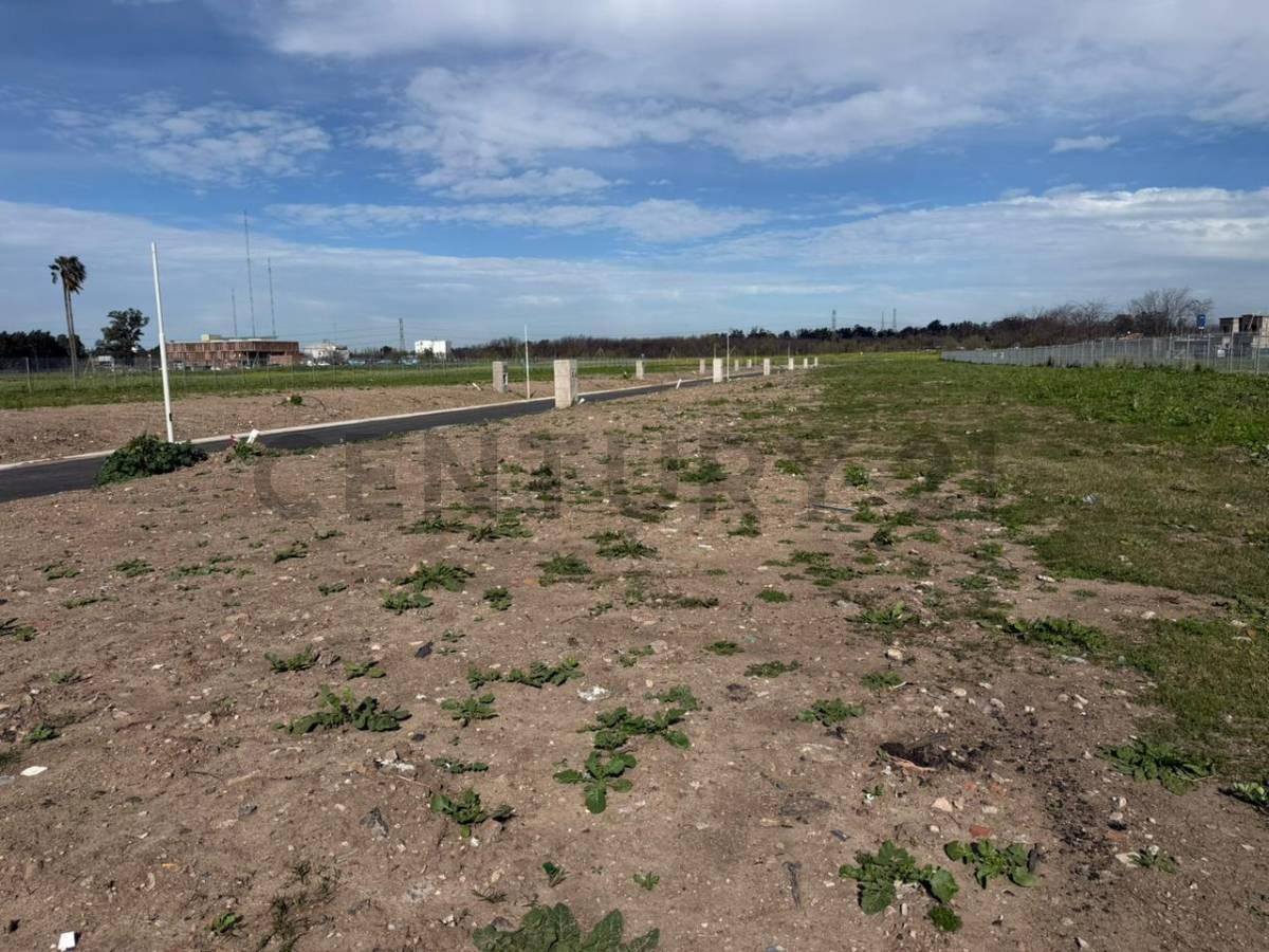 Foto de “Venta lote de 442M2 en Nuevo Bella Vista - Barrio La Loma”, imagen 4