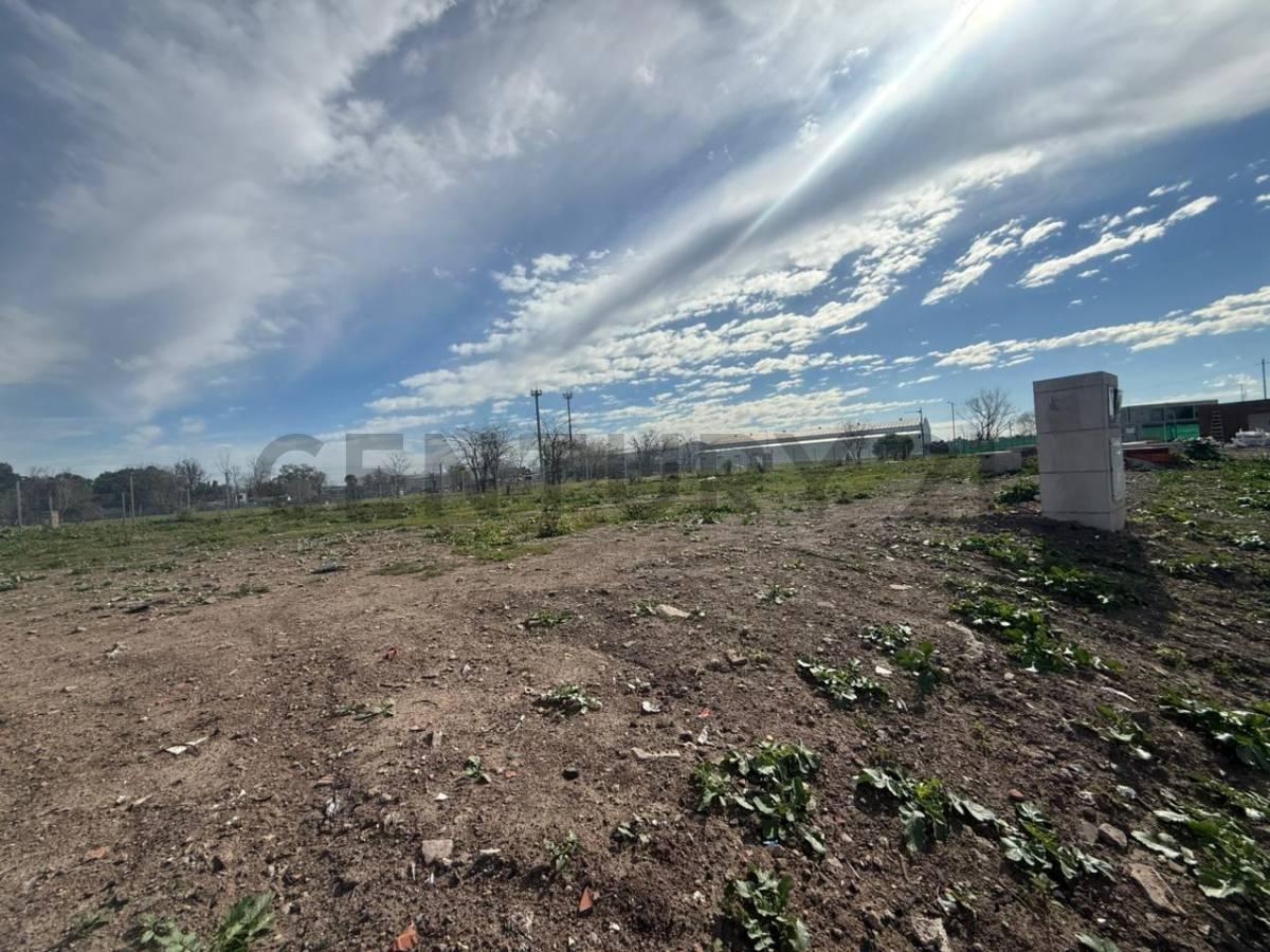 Foto de “Venta lote de 442M2 en Nuevo Bella Vista - Barrio La Loma”, imagen 3