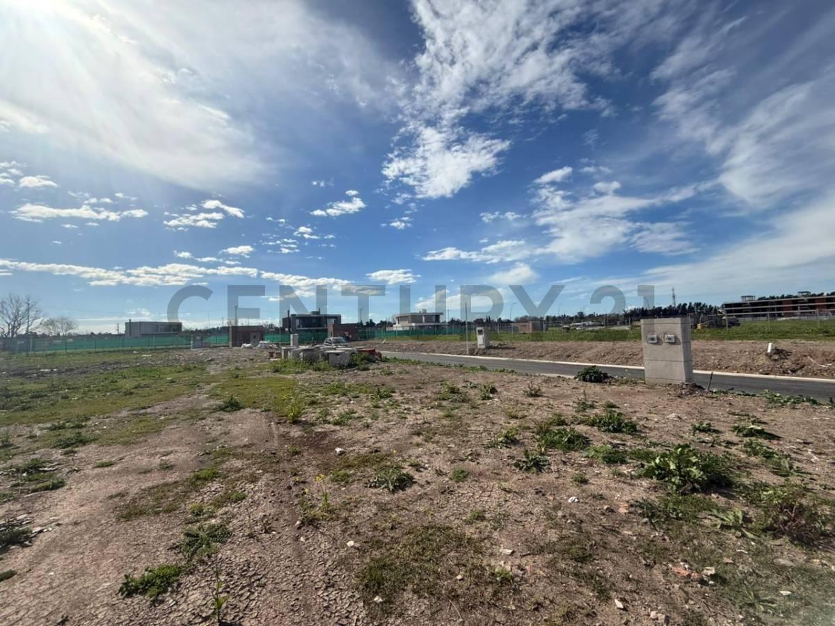 Foto de “Venta lote de 442M2 en Nuevo Bella Vista - Barrio La Loma”, imagen 1