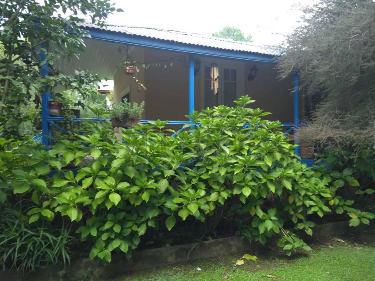 Foto de Venta en Delta del Tigre con Escritura | 2 Viviendas Impecables sobre, imagen 4