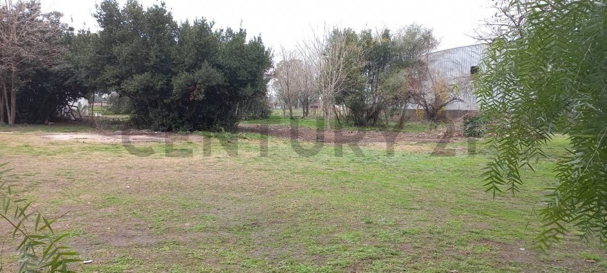 Foto de Lote en venta, imagen 3
