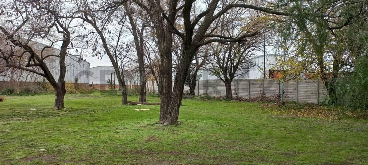 Foto de Lote en venta, imagen 2
