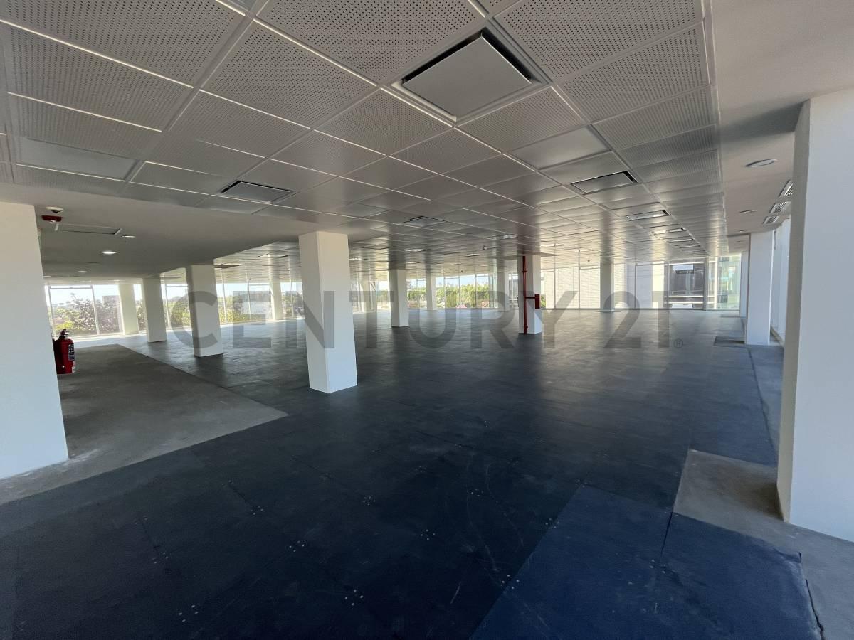 Foto de ALQUILER - OFICINAS - FLORIDA/VILLA MARTELLI - LUMILA III, imagen 3
