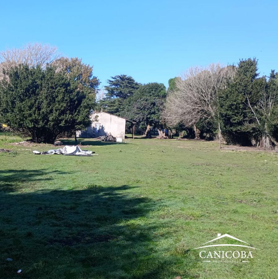 Foto de Terreno en General Piran, imagen 4