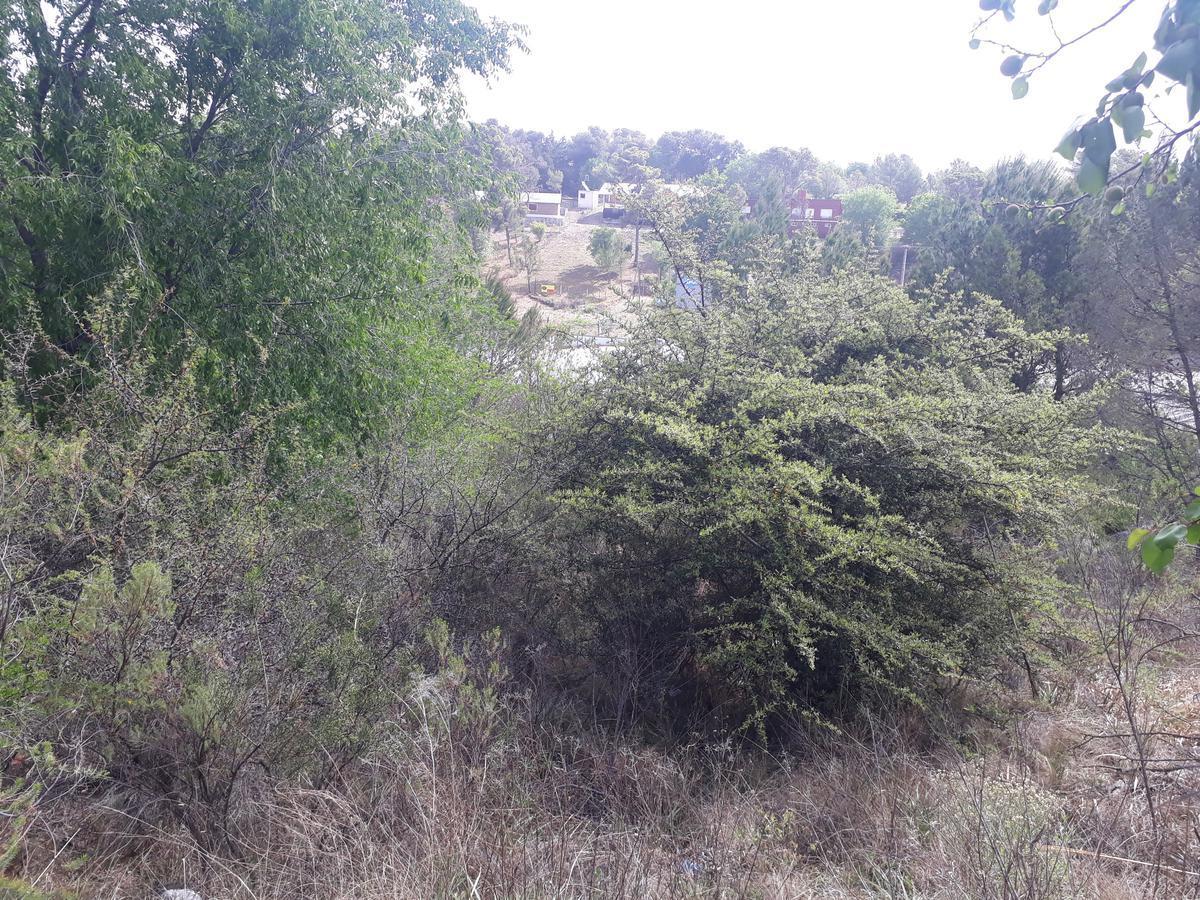 Oportunidad! Excelente Lote Amplio C/ Vista - Ideal Para Cabañas - Huerta Grande - Sierras de Córdoba 2