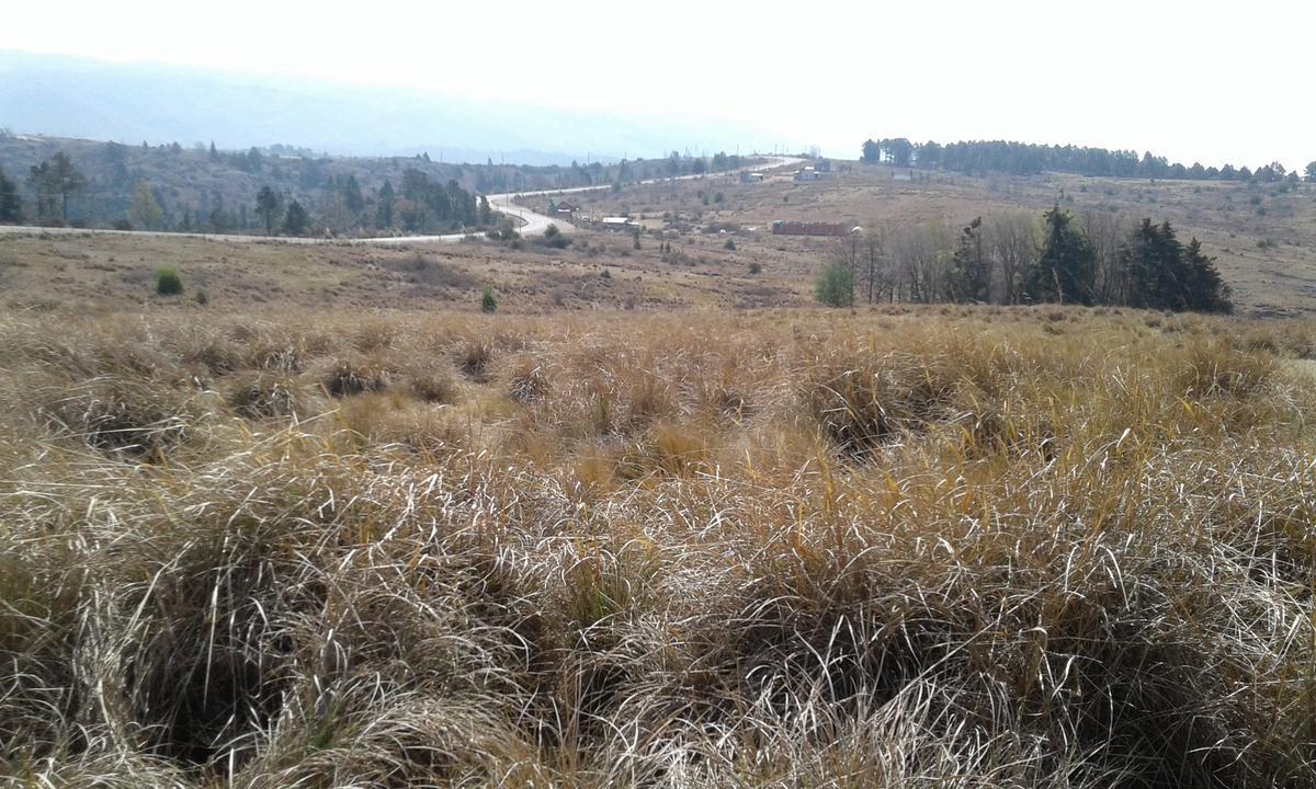 Excelente Lote de 3 Tres Hectáreas en Villa Berna - La Cumbrecita - Sierras de Córdoba 2