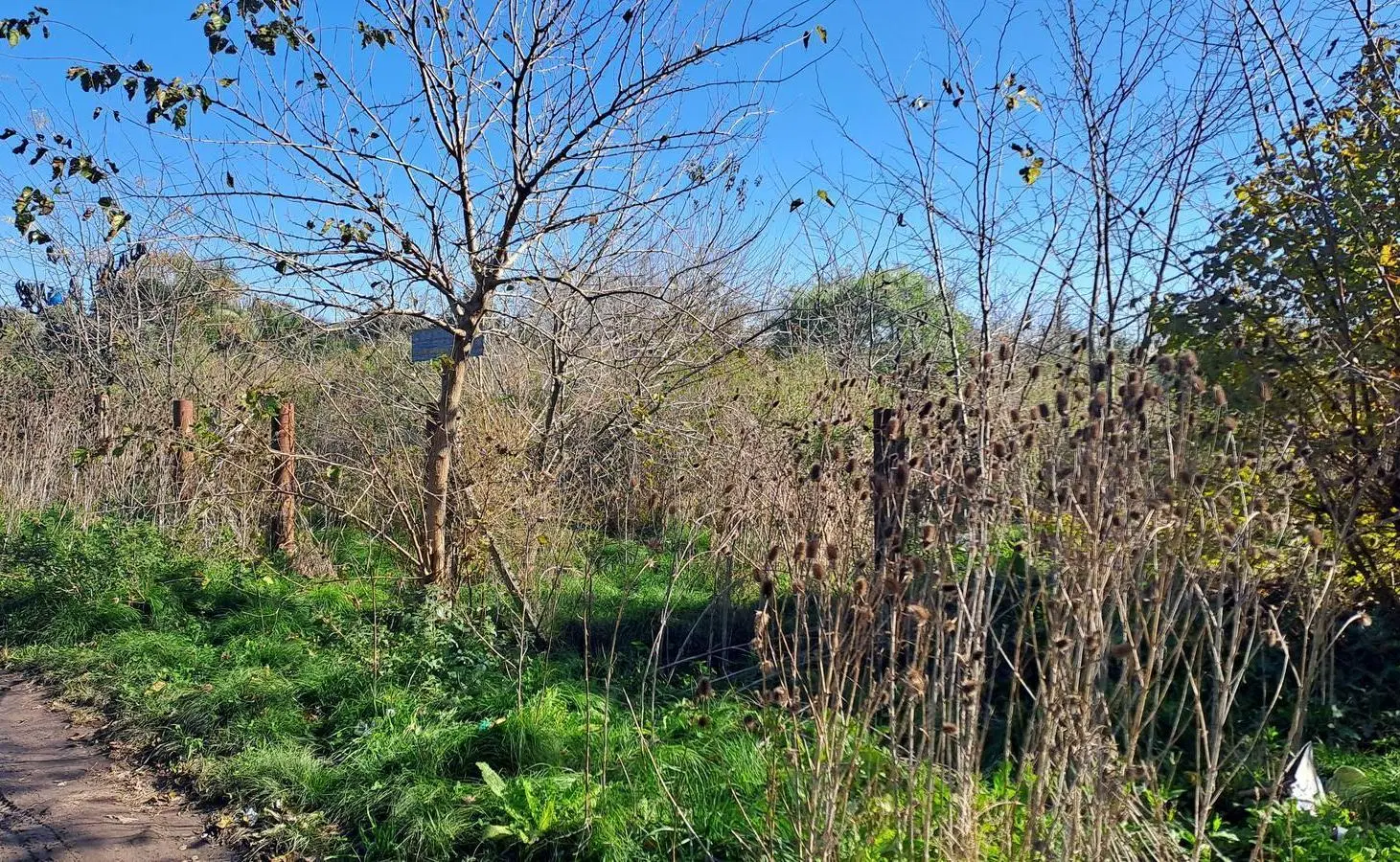 Venta terreno/lote de 1.566 m2 - La Reja, Moreno, Pvcia Bs.As. 3