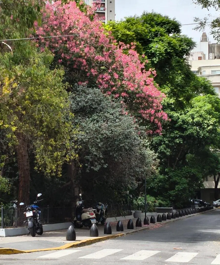 Venta Departamento 2 ambientes en zona Botanico 8