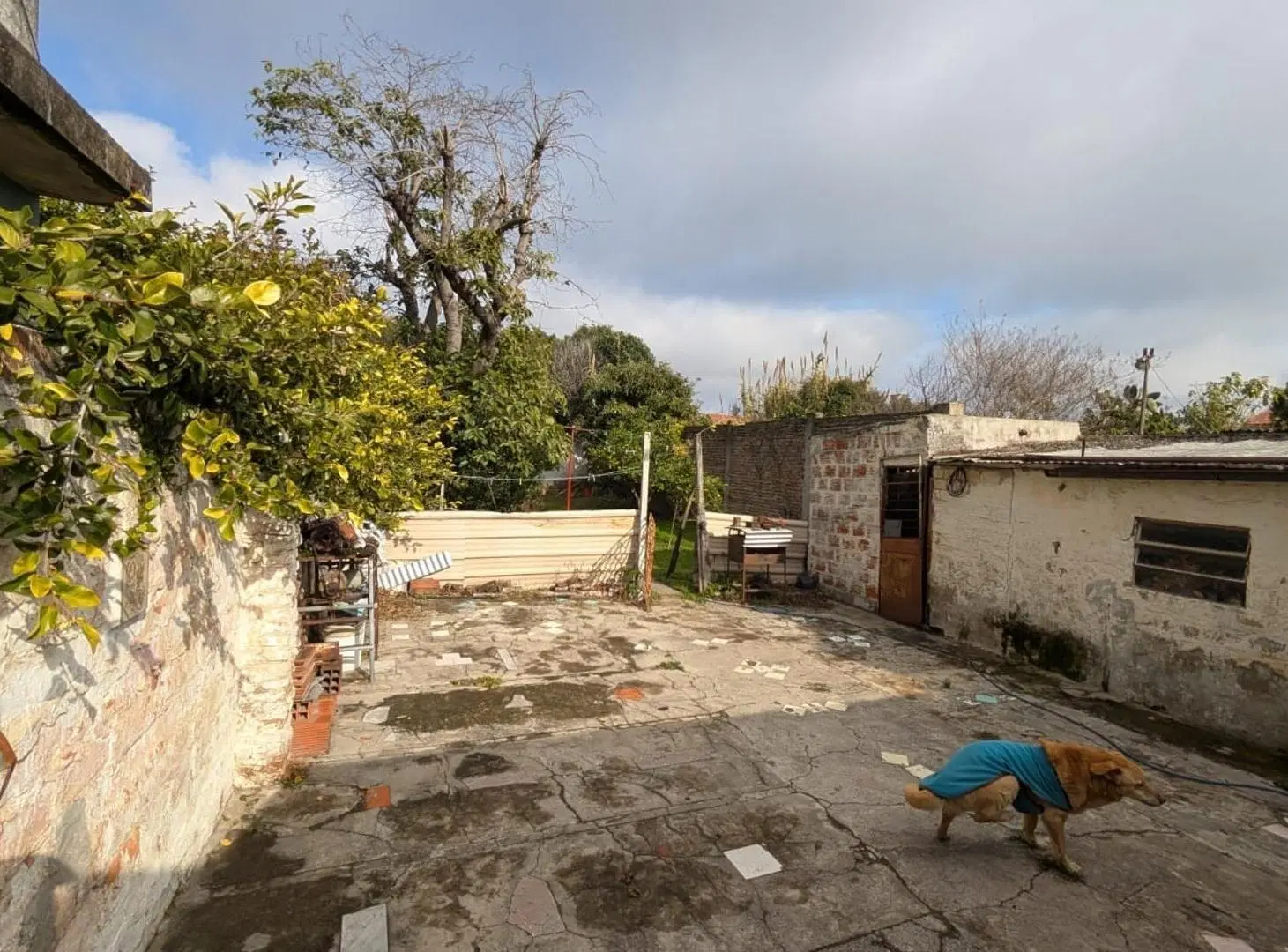 Casa sobre lote propio 3 Ambientes M. Weild y Pico Lanus E 5