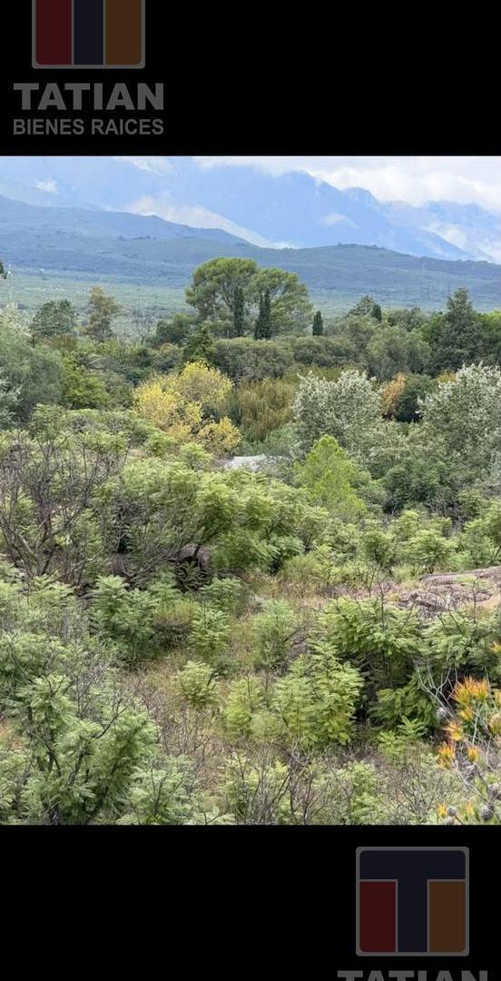 Foto de Terreno 10 has sobre ruta 14, imagen 4