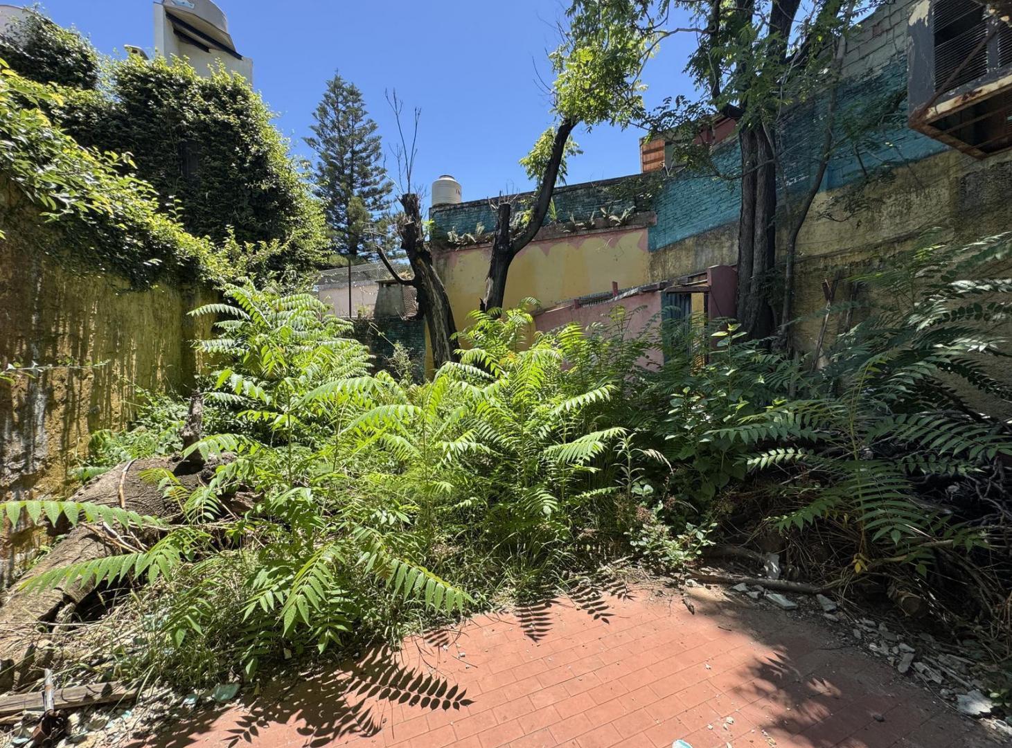 Imagen de la propiedad