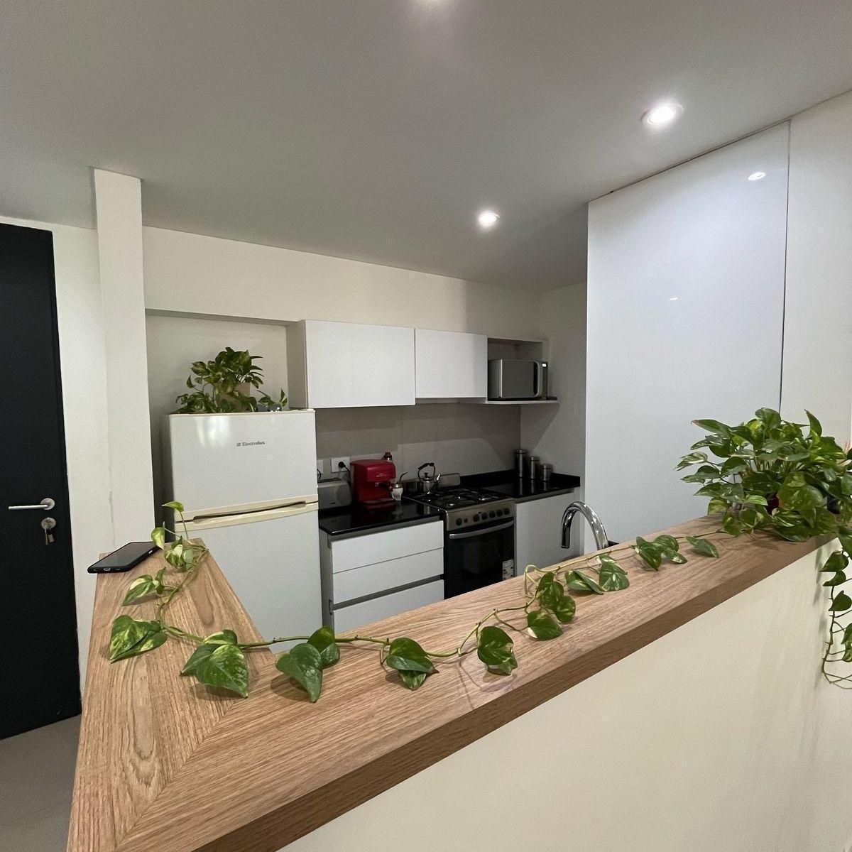 Foto de Departamento - Ocho Sauces, imagen 4