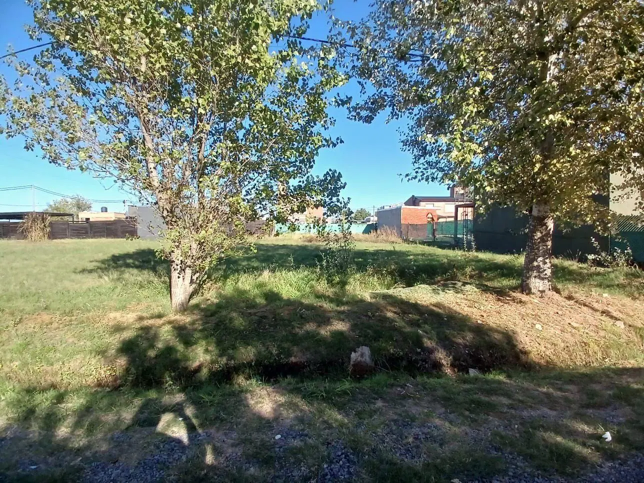 Terreno en Tierra de Sueños 3 3