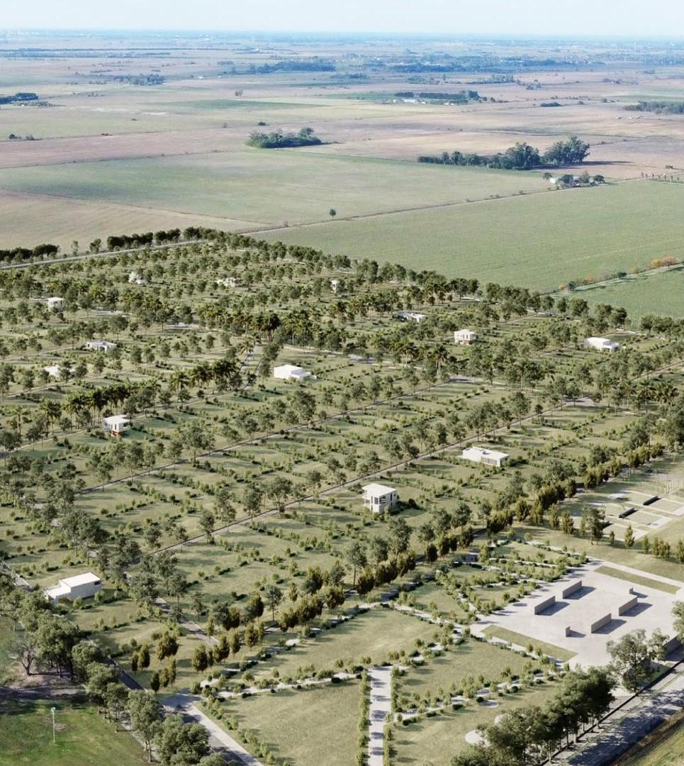 Foto de VENTA - OPORTUNIDAD - LOTE EN LA GUILLERMINA, imagen 5