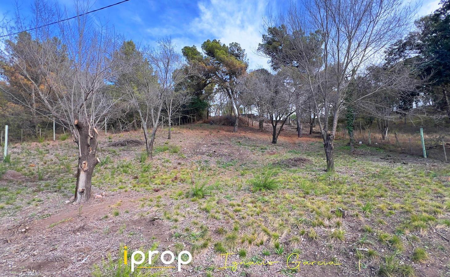 Foto de GRAN OPORTUNIDAD COMERCIAL: Lote de 1.656 m² sobre Ruta Nacional 38 - ingreso Sur a Villa Giardino!!, imagen 2
