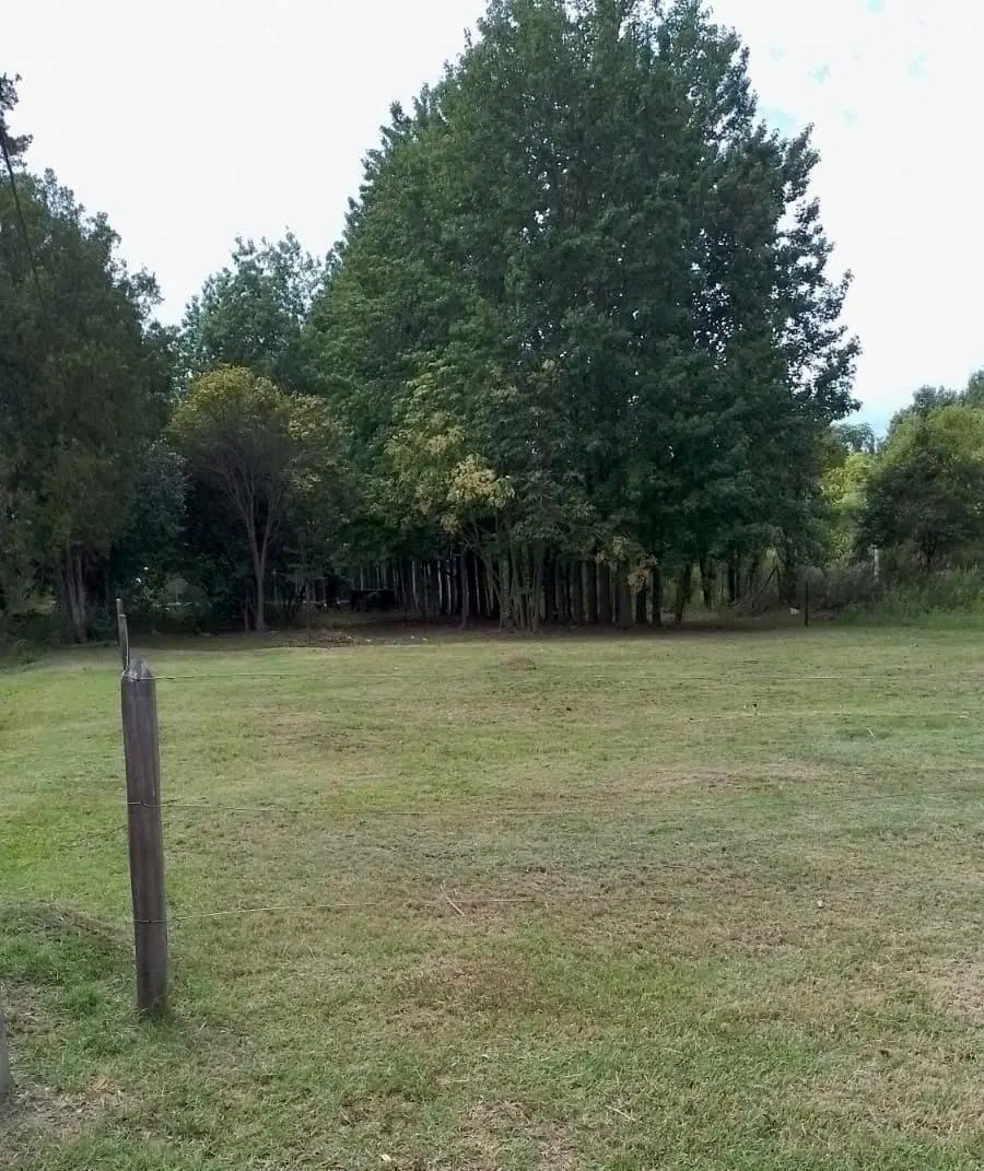 Terreno en Venta en Barrio Cerrado La Catalina 2