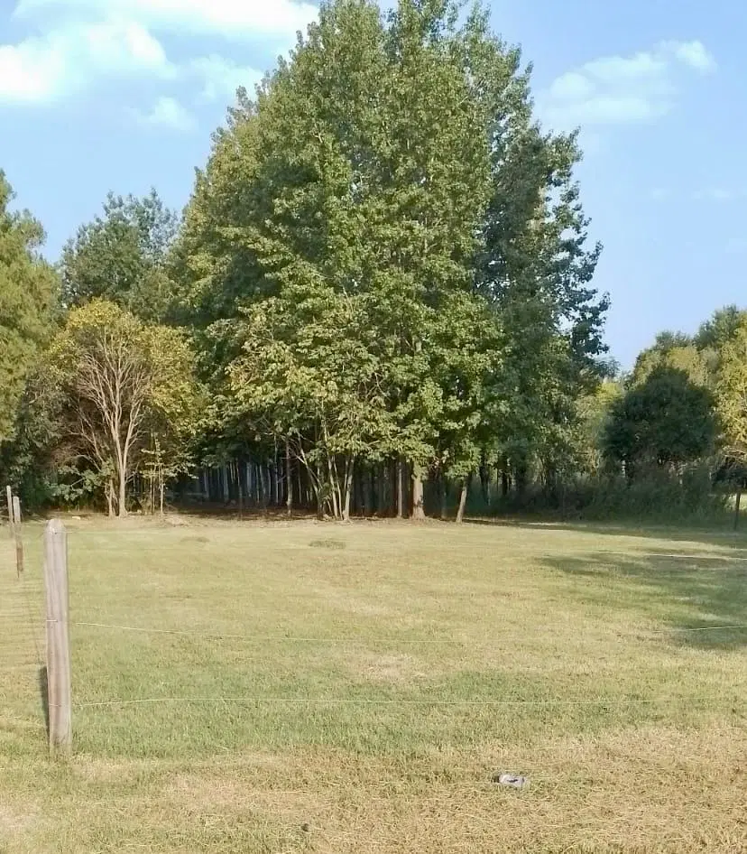 Terreno en Venta en Barrio Cerrado La Catalina 3