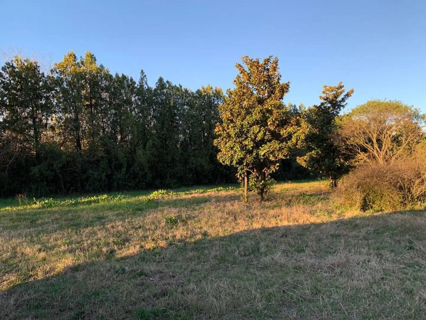 VENTA Terreno en Barrio Cerrado en Roldán. 5