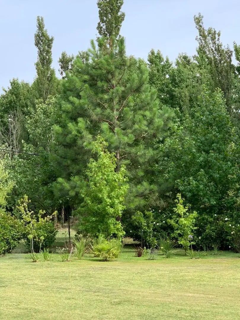 VENTA Terreno en Barrio Cerrado en Roldán. 4
