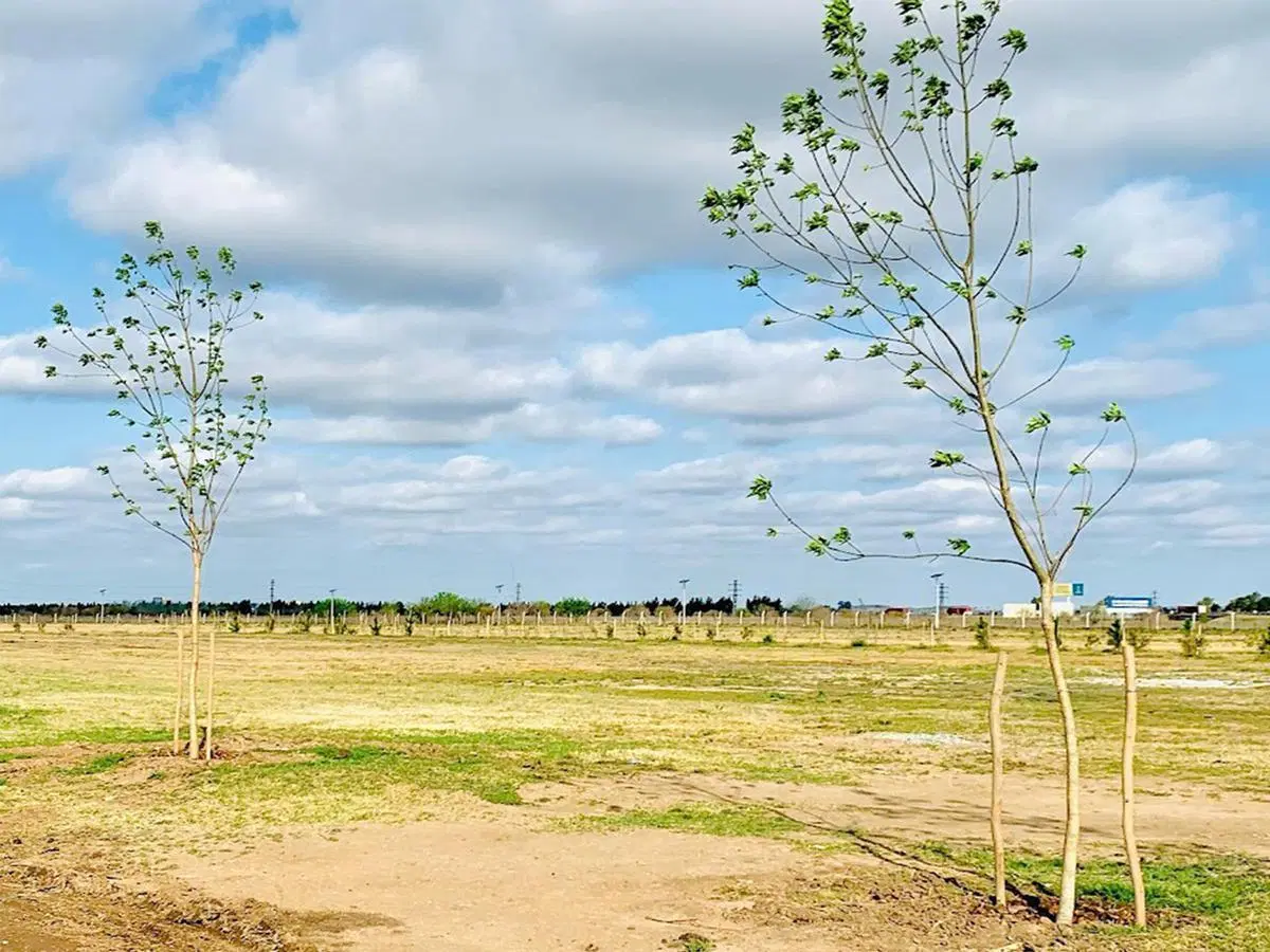 Terreno en  Vida Club de Campo 3