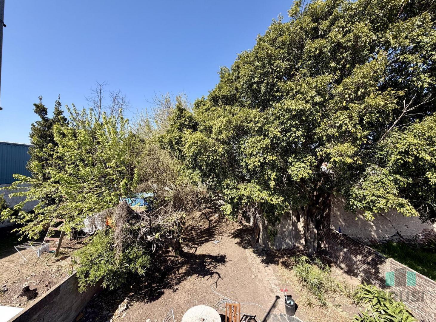 Foto de VENTA LOTE CON CASA Y DOS LOCALES COMERCIALES - BANFIELD, imagen 5
