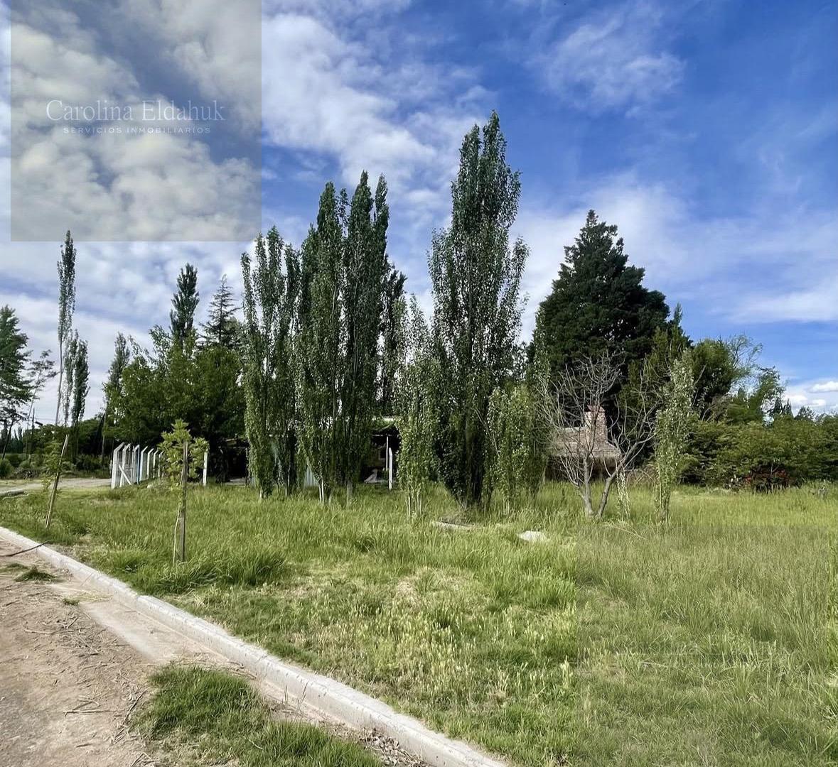 Foto de Terreno en Centenario, imagen 5