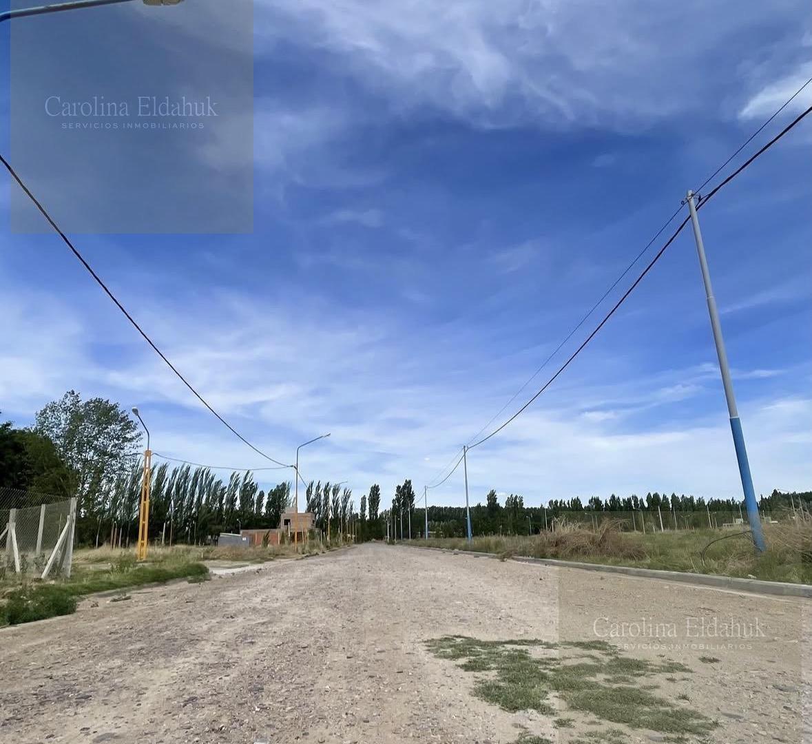 Foto de Terreno en Centenario, imagen 4