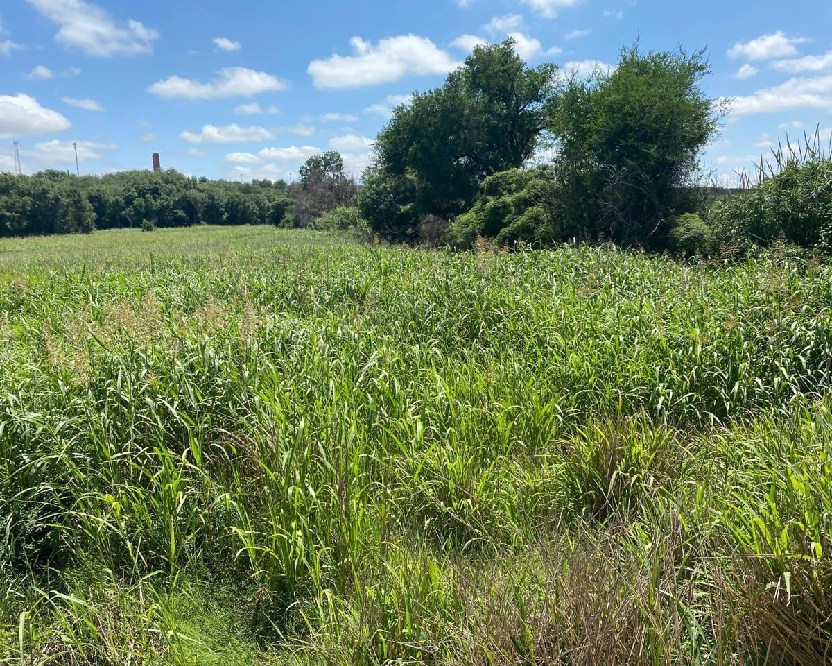 CHACRAS DE LA MERCED - 17.000M2 - MEJOR ZONA