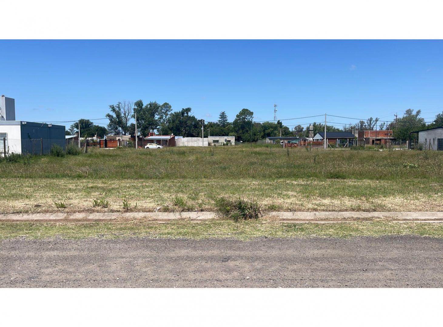 Foto de Terreno en Venta en Arcos de Andino - Posesión y Escritura inmediata, imagen 2