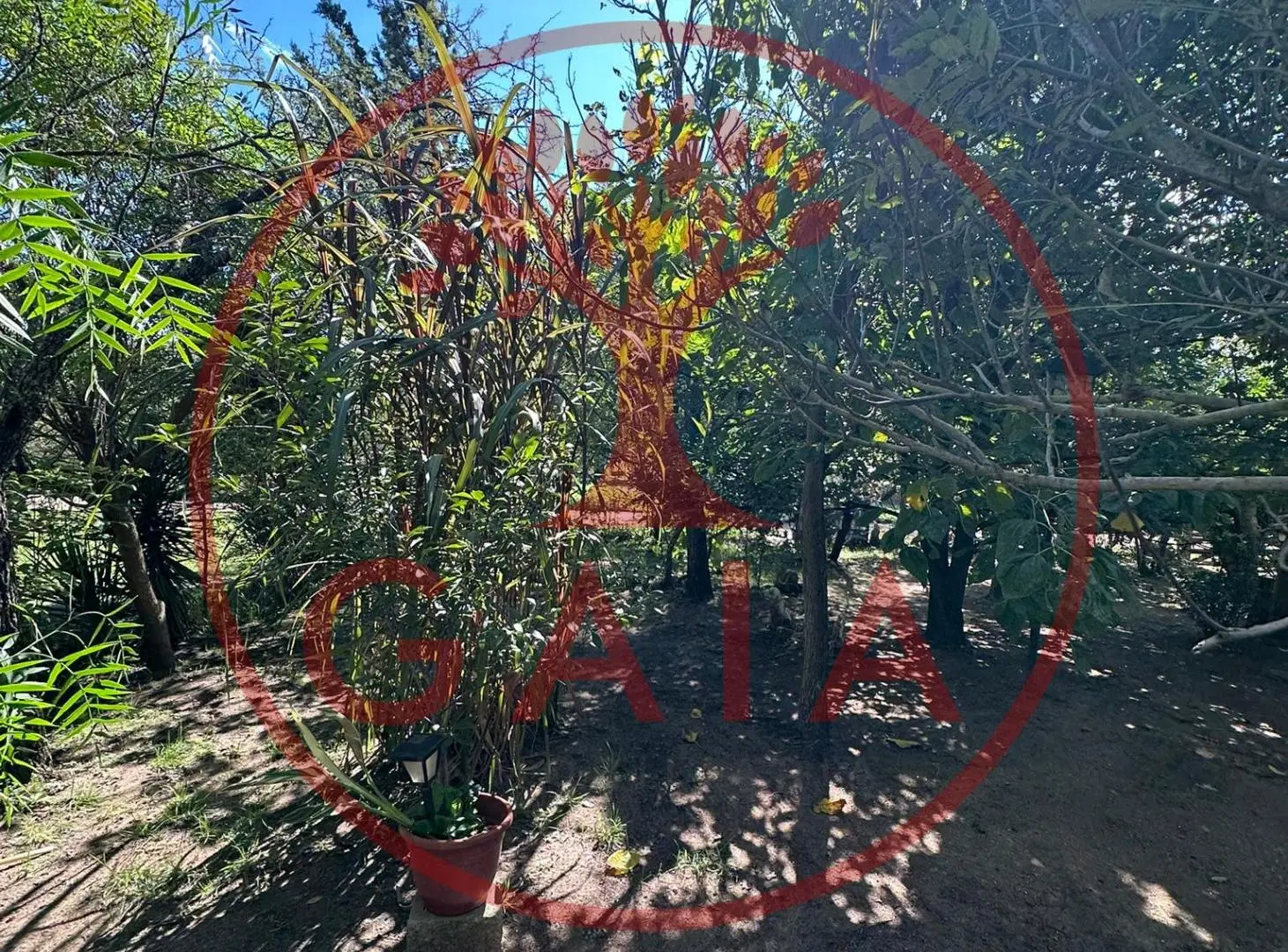 Imperdible Casa frente al Arroyo Las Mojarras 5