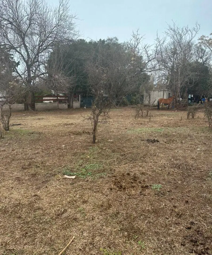 Oportunidad Lote a cuatro cuadras de la Ruta 38 4