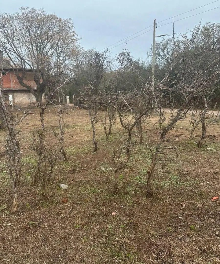 Oportunidad Lote a cuatro cuadras de la Ruta 38 4