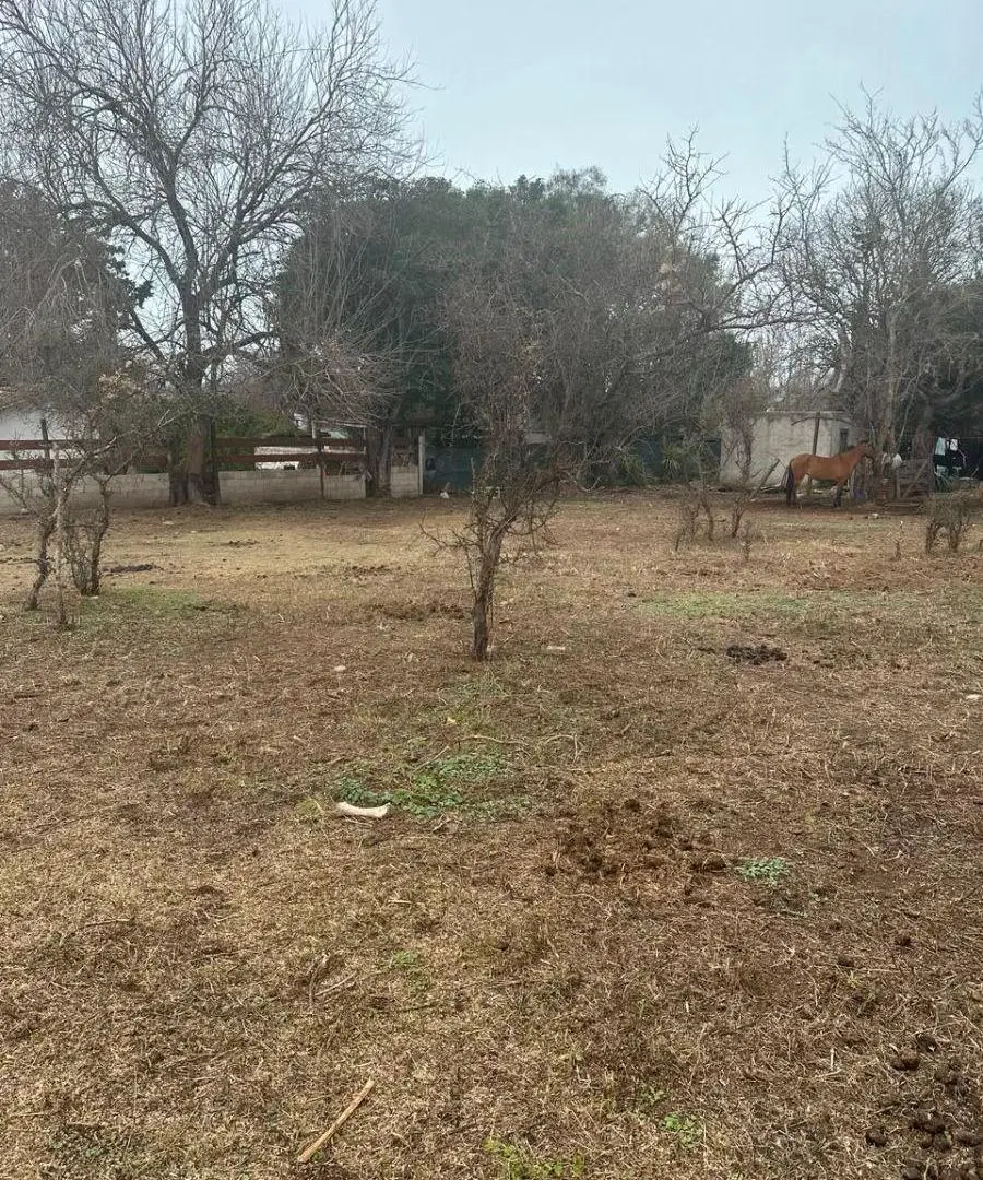 Oportunidad Lote a cuatro cuadras de la Ruta 38 5