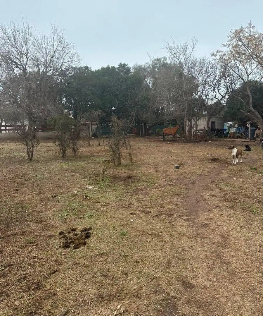 Oportunidad Lote a cuatro cuadras de la Ruta 38 3