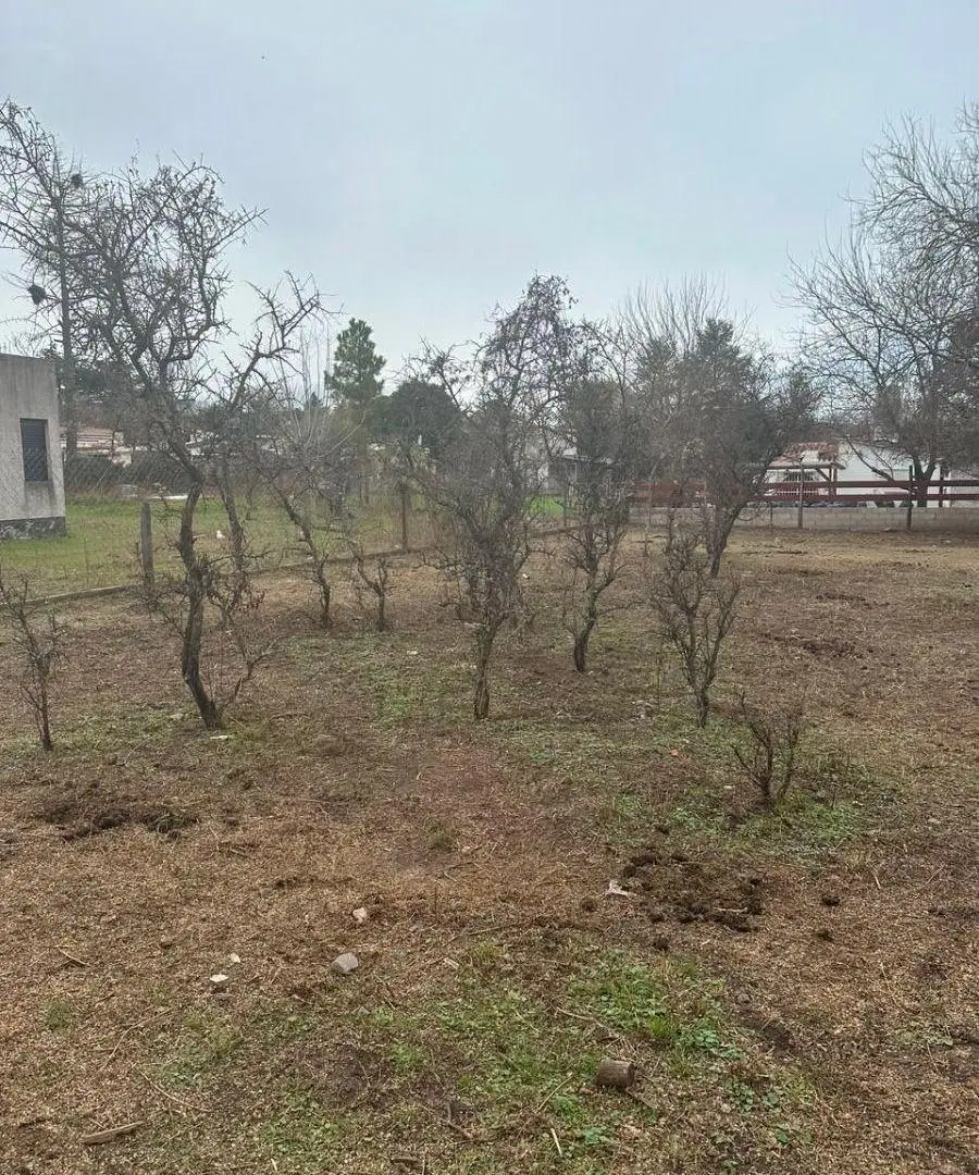 Oportunidad Lote a cuatro cuadras de la Ruta 38 1
