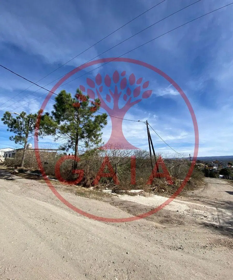 Dos terrenos con ubicación privilegiada sobre Av Los Gorriones en Las Mojarras Villa Parque Síquiman 4